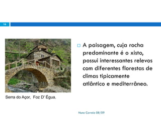 Ppt 1   PreservaçãO Da Biodiversidade