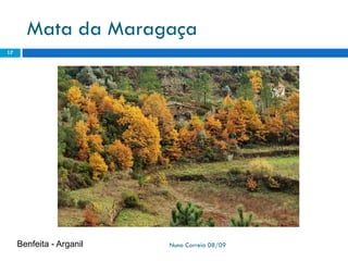 Ppt 1   PreservaçãO Da Biodiversidade