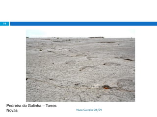 Ppt 1   PreservaçãO Da Biodiversidade