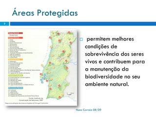Ppt 1   PreservaçãO Da Biodiversidade
