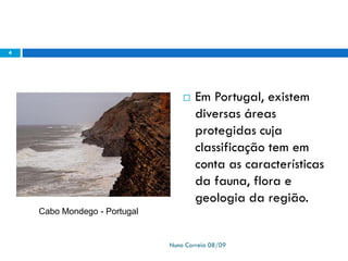 Ppt 1   PreservaçãO Da Biodiversidade