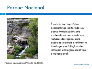 Ppt 1   PreservaçãO Da Biodiversidade
