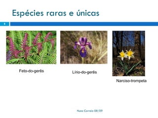 Ppt 1   PreservaçãO Da Biodiversidade
