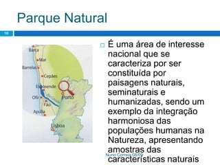 Ppt 1   PreservaçãO Da Biodiversidade