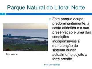 Ppt 1   PreservaçãO Da Biodiversidade