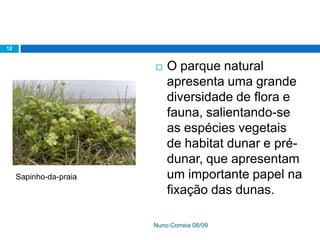 Ppt 1   PreservaçãO Da Biodiversidade