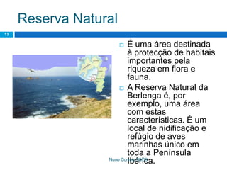 Ppt 1   PreservaçãO Da Biodiversidade