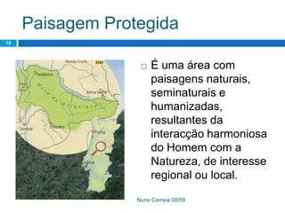 Ppt 1   PreservaçãO Da Biodiversidade