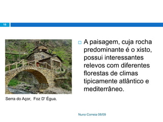 Ppt 1   PreservaçãO Da Biodiversidade