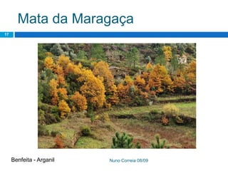 Ppt 1   PreservaçãO Da Biodiversidade