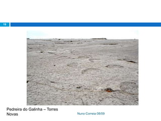 Ppt 1   PreservaçãO Da Biodiversidade