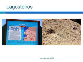 Ppt 1   PreservaçãO Da Biodiversidade