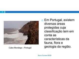 Ppt 1   PreservaçãO Da Biodiversidade