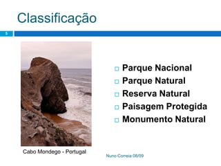 Ppt 1   PreservaçãO Da Biodiversidade