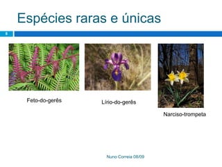 Ppt 1   PreservaçãO Da Biodiversidade