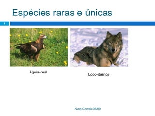 Ppt 1   PreservaçãO Da Biodiversidade