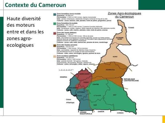 Présentation générale sur les moteurs de déforestation, Cameroun