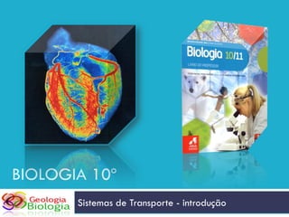 BIOLOGIA 10º
       Sistemas de Transporte - introdução
 