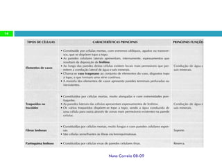Ppt 1   Transporte Nas Plantas
