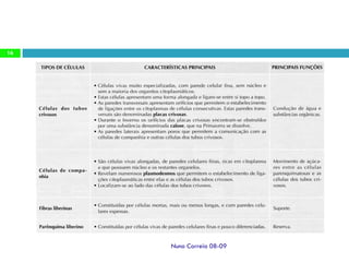 Ppt 1   Transporte Nas Plantas