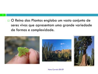 Ppt 1   Transporte Nas Plantas