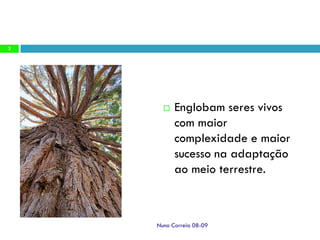 Ppt 1   Transporte Nas Plantas