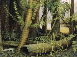 Ppt 1   Transporte Nas Plantas