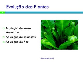 Ppt 1   Transporte Nas Plantas