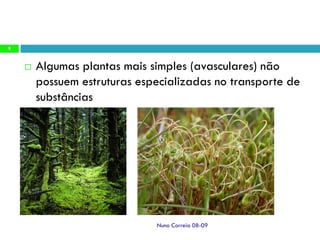 Ppt 1   Transporte Nas Plantas