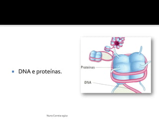  DNA e proteínas.
NunoCorreia 09/10
 