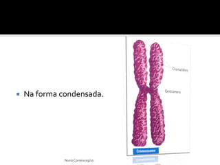  Na forma condensada.
Nuno Correia 09/10
 
