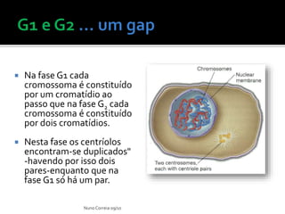  Na fase G1 cada
cromossoma é constituído
por um cromatídio ao
passo que na fase G2 cada
cromossoma é constituído
por dois cromatídios.
 Nesta fase os centríolos
encontram-se duplicados"
-havendo por isso dois
pares-enquanto que na
fase G1 só há um par.
Nuno Correia 09/10
 