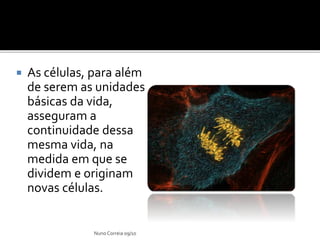  As células, para além
de serem as unidades
básicas da vida,
asseguram a
continuidade dessa
mesma vida, na
medida em que se
dividem e originam
novas células.
Nuno Correia 09/10
 