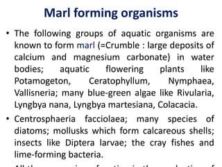 Marl forming organisms
• The following groups of aquatic organisms are
known to form marl (=Crumble : large deposits of
calcium and magnesium carbonate) in water
bodies; aquatic flowering plants like
Potamogeton, Ceratophyllum, Nymphaea,
Vallisneria; many blue-green algae like Rivularia,
Lyngbya nana, Lyngbya martesiana, Colacacia.
• Centrosphaeria facciolaea; many species of
diatoms; mollusks which form calcareous shells;
insects like Diptera larvae; the cray fishes and
lime-forming bacteria.
 