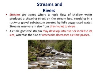 Streams and
Rivers
• Streams are zones where a rapid flow of shallow water
produces a shearing stress on the stream bed, resulting in a
rocky or gravel substratum covered by fully oxygenated water.
Streams may vary in size from tiny rivulet to rivers.
• As time goes the stream may develop into river or increase its
size, whereas the size of reservoirs decreases as time passes.
 