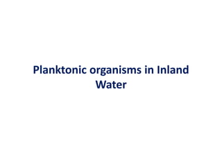 Planktonic organisms in Inland
Water
 