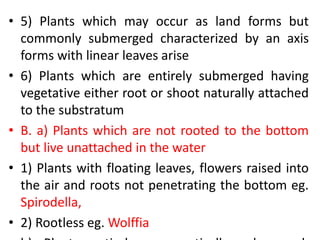 • 5) Plants which may occur as land forms but
commonly submerged characterized by an axis
forms with linear leaves arise
• 6) Plants which are entirely submerged having
vegetative either root or shoot naturally attached
to the substratum
• B. a) Plants which are not rooted to the bottom
but live unattached in the water
• 1) Plants with floating leaves, flowers raised into
the air and roots not penetrating the bottom eg.
Spirodella,
• 2) Rootless eg. Wolffia
 