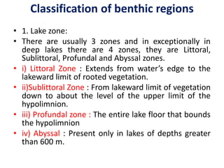 Classification of benthic regions
• 1. Lake zone:
• There are usually 3 zones and in exceptionally in
deep lakes there are 4 zones, they are Littoral,
Sublittoral, Profundal and Abyssal zones.
• i) Littoral Zone : Extends from water’s edge to the
lakeward limit of rooted vegetation.
• ii)Sublittoral Zone : From lakeward limit of vegetation
down to about the level of the upper limit of the
hypolimnion.
• iii) Profundal zone : The entire lake floor that bounds
the hypolimnion
• iv) Abyssal : Present only in lakes of depths greater
than 600 m.
 