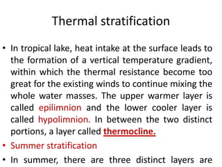 Thermal stratification
• In tropical lake, heat intake at the surface leads to
the formation of a vertical temperature gradient,
within which the thermal resistance become too
great for the existing winds to continue mixing the
whole water masses. The upper warmer layer is
called epilimnion and the lower cooler layer is
called hypolimnion. In between the two distinct
portions, a layer called thermocline.
• Summer stratification
• In summer, there are three distinct layers are
 