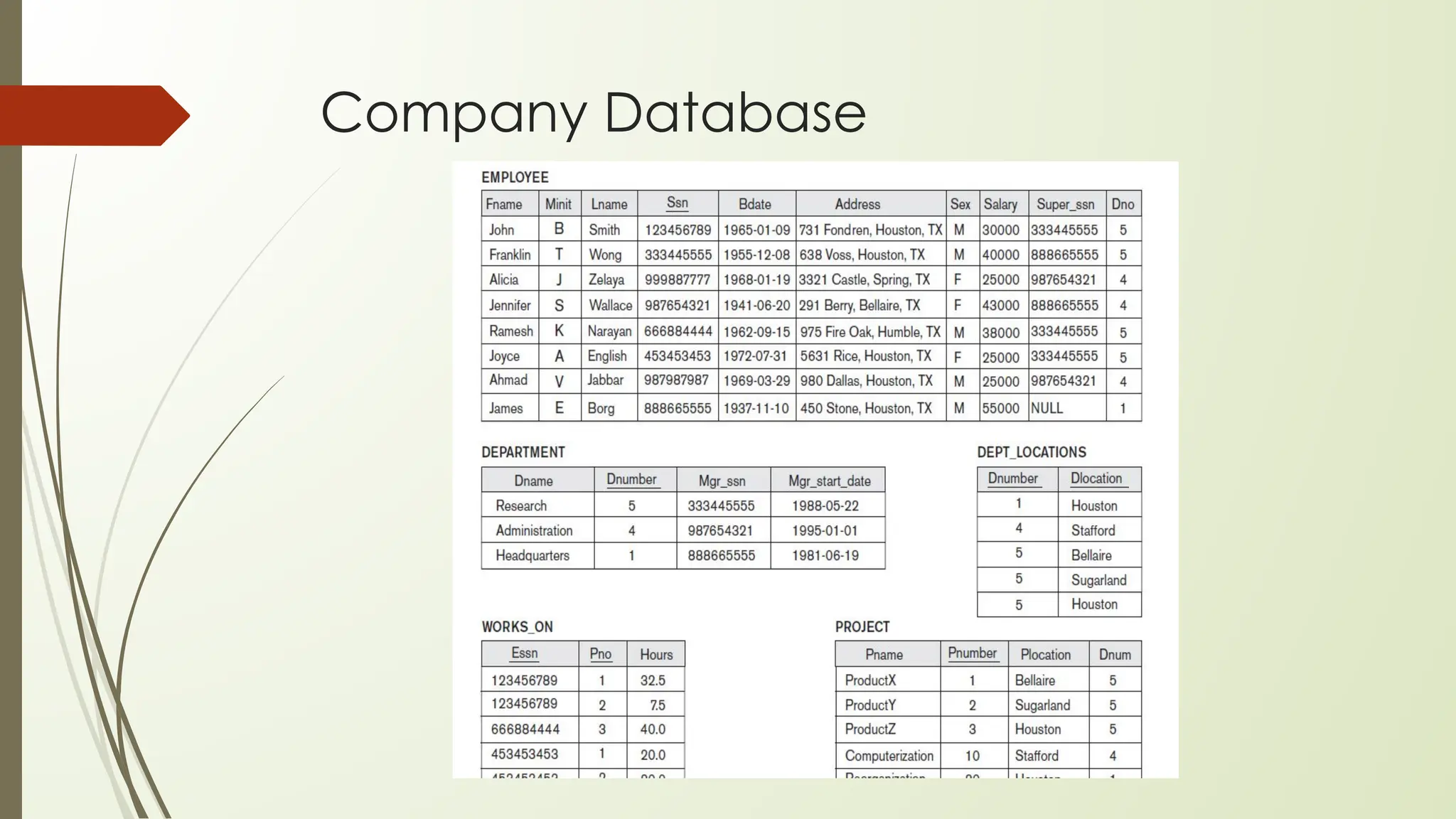 Company Database
 
