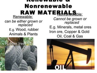 Renewable &
Nonrenewable
RAW MATERIALS
Nonrenewable:

Renewable:
can be either grown or
replaced
E.g. Wood, rubber
Animals & Plants
Rubber tree

Cannot be grown or
replaced
E.g. Minerals, metal ores
Iron ore, Copper & Gold
Oil, Coal & Gas

 