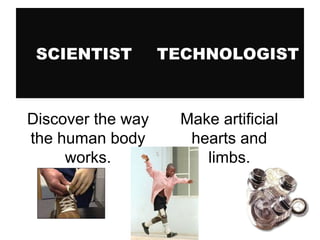 SCIENTIST

TECHNOLOGIST

Discover the way
the human body
works.

Make artificial
hearts and
limbs.

 