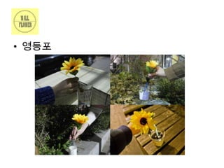 • 영등포

 