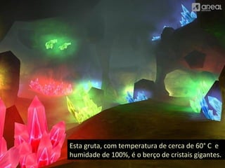 Esta gruta, com temperatura de cerca de 60° C e 
humidade de 100%, é o berço de cristais gigantes. 
 