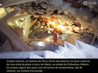 Cristais naturais, os maiores da Terra, foram descobertos em duas cavernas 
de uma mina da prata e zinco, em Naica, no estado de Chihuahua, México. 
Os cristais, alguns dos quais com 14 metros de comprimento, são de 
selenite, um mineral translúcido. 
 