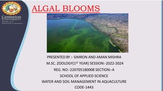 ALGAL BLOOMS
PRESENTED BY :- SIMRON AND AMAN MISHRA
M.SC. ZOOLOGY(1ST YEAR) SESSION:-2022-2024
REG. NO:-220705180008 SECTION:-A
SCHOOL OF APPLIED SCIENCE
WATER AND SOIL MANAGEMENT IN AQUACULTURE
CODE-1443
 