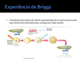    Transplantando núcleos de células especializadas de um girino para óvulos
    cujo núcleo tinha sido destruído, conseguiram obter girinos.




                   Nuno Correia 09/10
 