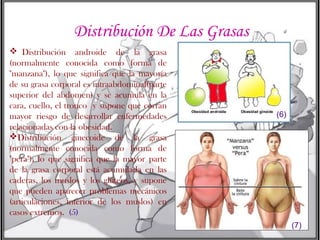 Distribución De Las Grasas
 Distribución androide de la grasa
(normalmente conocida como forma de
"manzana"), lo que significa que la mayoría
de su grasa corporal es intraabdominal(parte
superior del abdomen) y se acumula en la
cara, cuello, el tronco y supone que corran
mayor riesgo de desarrollar enfermedades
relacionadas con la obesidad.
Distribución ginecoide de la grasa
(normalmente conocida como forma de
"pera"), lo que significa que la mayor parte
de la grasa corporal está acumulada en las
caderas, los muslos y los glúteos, y supone
que pueden aparecer problemas mecánicos
(articulaciones, interior de los muslos) en
casos extremos. (5)

(6)

(7)

 