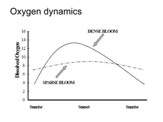 Oxygen dynamics
 