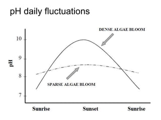 pH daily fluctuations
 